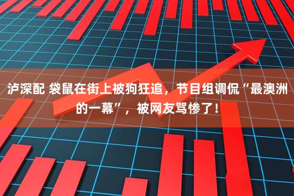 泸深配 袋鼠在街上被狗狂追，节目组调侃“最澳洲的一幕”，被网友骂惨了！