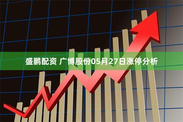 盛鹏配资 广博股份05月27日涨停分析