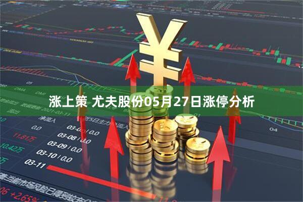 涨上策 尤夫股份05月27日涨停分析