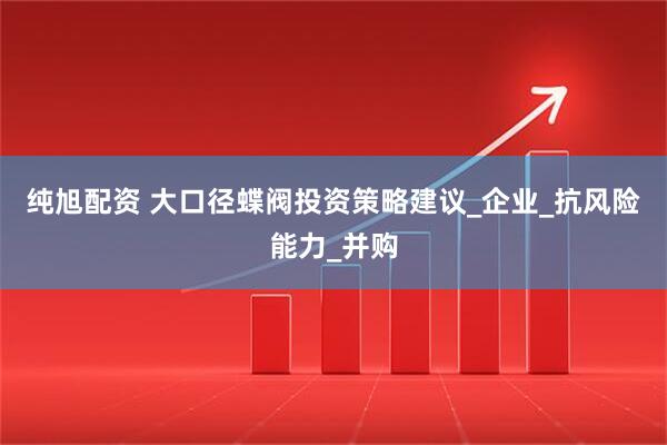 纯旭配资 大口径蝶阀投资策略建议_企业_抗风险能力_并购