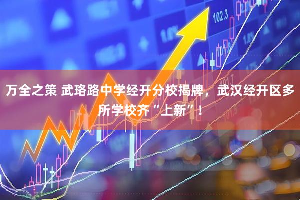 万全之策 武珞路中学经开分校揭牌，武汉经开区多所学校齐“上新”！