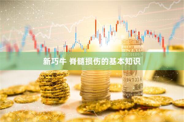 新巧牛 脊髓损伤的基本知识