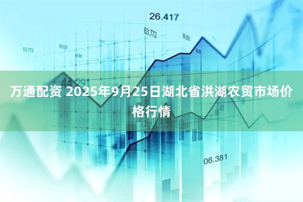 万通配资 2025年9月25日湖北省洪湖农贸市场价格行情