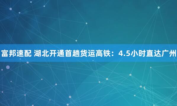富邦速配 湖北开通首趟货运高铁:4.5小时直达广州