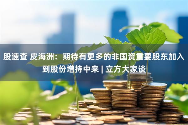 股速查 皮海洲：期待有更多的非国资重要股东加入到股份增持中来 | 立方大家谈