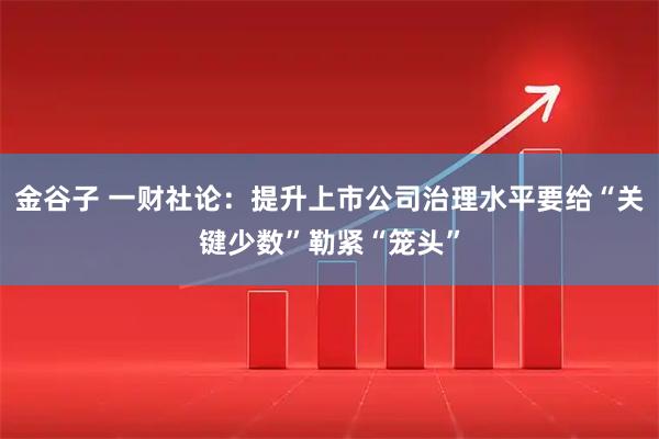 金谷子 一财社论：提升上市公司治理水平要给“关键少数”勒紧“笼头”