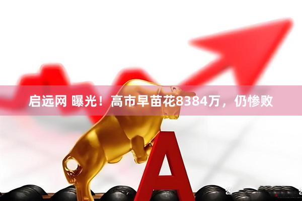 启远网 曝光！高市早苗花8384万，仍惨败