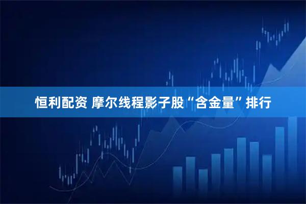 恒利配资 摩尔线程影子股“含金量”排行